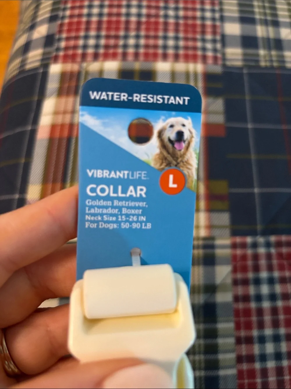 Vibrant Cream dog collar with Quick-Release Buckle